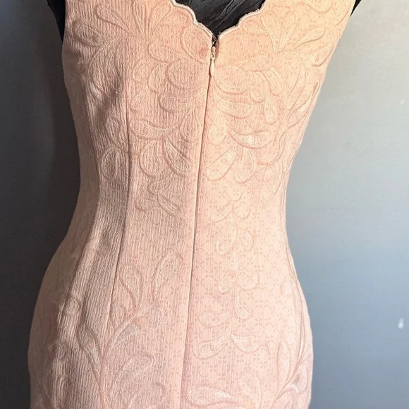 Antonio Melani Blush Scalloped Sheath Dress Size 2 - Picture 7 of 8